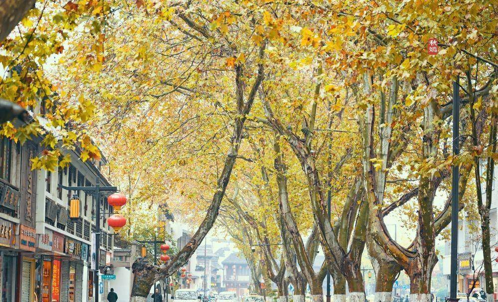 南京游客最爱来的景区，被称为“母亲河”